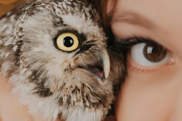 Cazino AllStar Slots Cazinou Suport